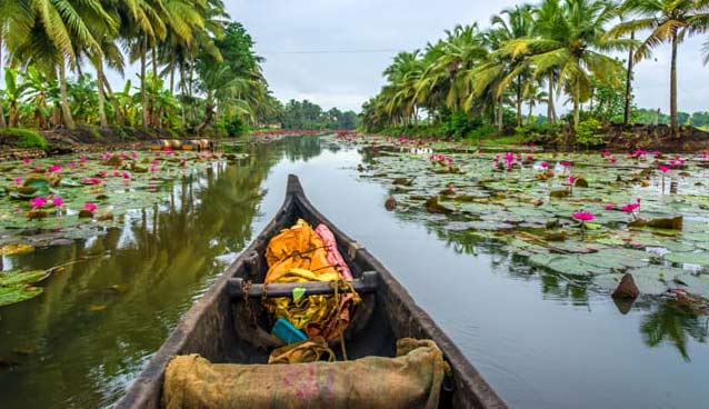 Kerala Tour Packages From Cochin | Kerala Trip Packages From Delhi